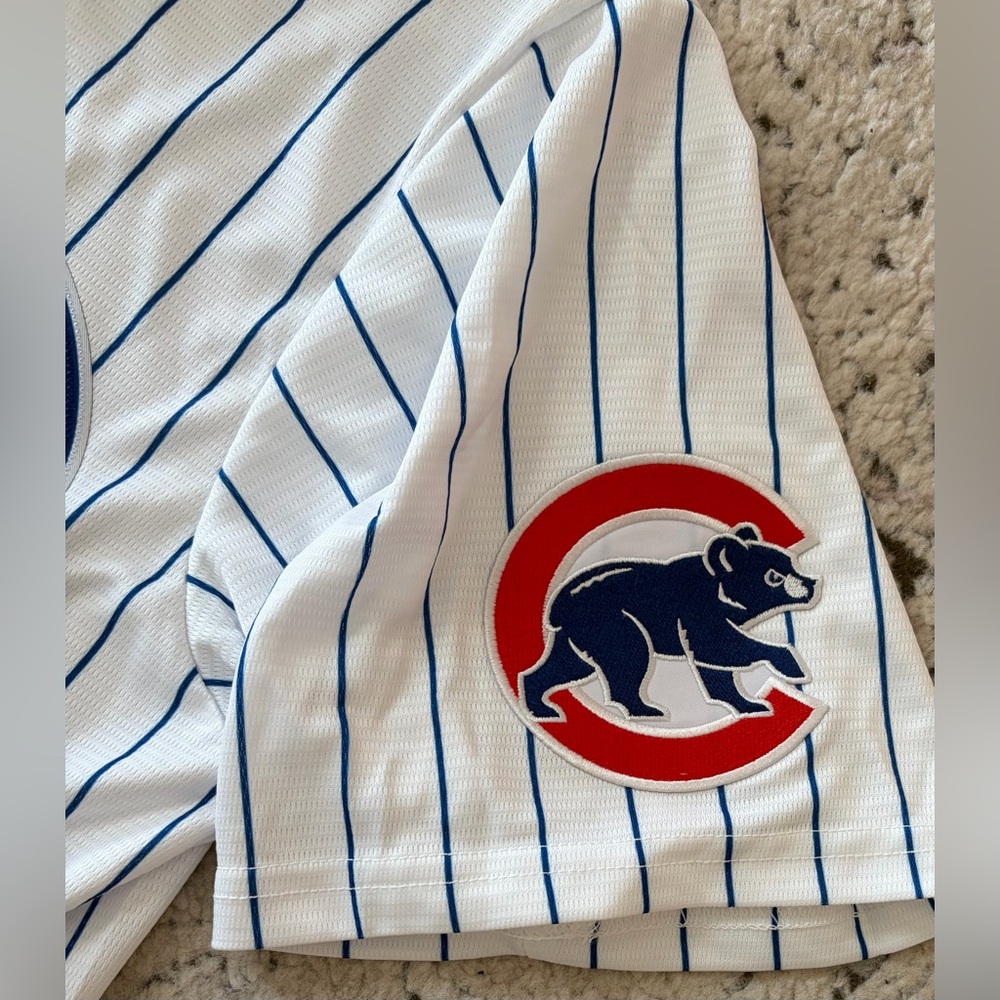 Nike Authentic Chicago Cubs MLB Baseball Pinstripe with Patch Jersey Men’s Sz: L - Picture 3 of 6
